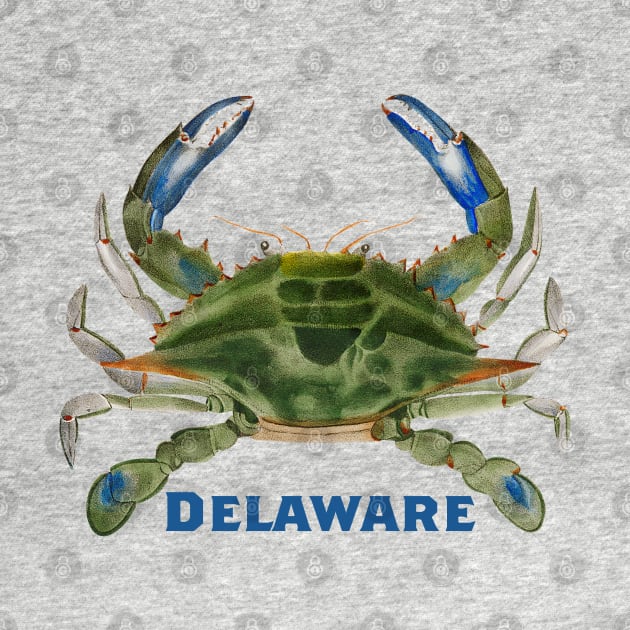 Delaware Crab by novabee